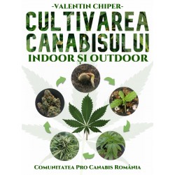 Cultivarea Canabisului - Indoor și Outdoor – VALENTIN CHIPER
