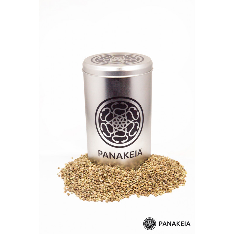 Seminte Canepa - Panakeia CBG - Sativa L Industrial
