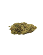 Flori Cânepă