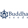 Buddha Seed Bank.